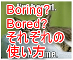 boringbored使い方